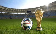 科维托娃迎来五赛季高光表现，TES球迷沸腾！